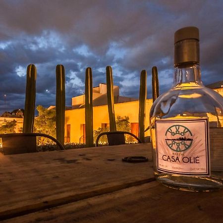 فندق Casa Olie Oaxaca المظهر الخارجي الصورة