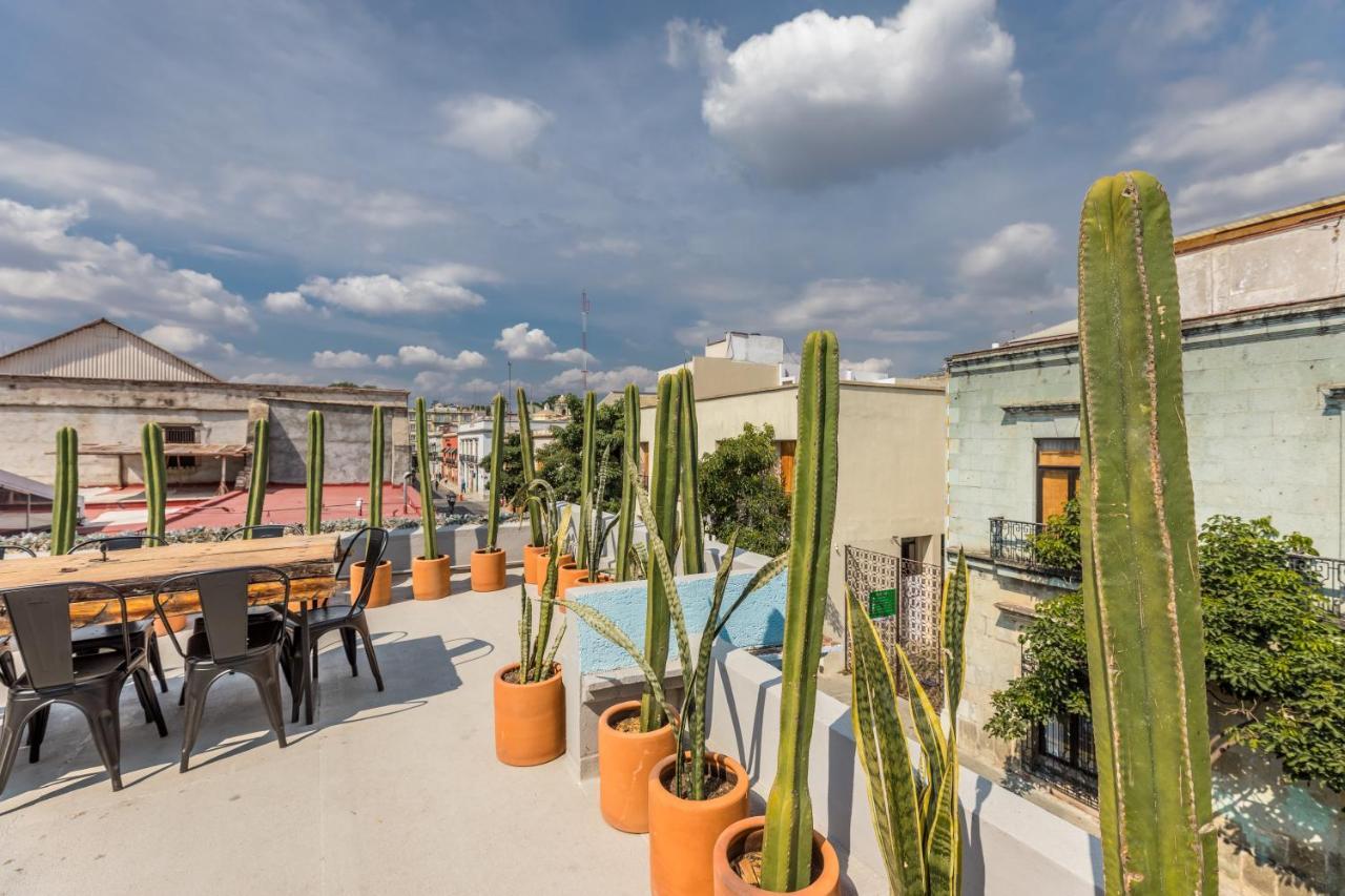 فندق Casa Olie Oaxaca المظهر الخارجي الصورة